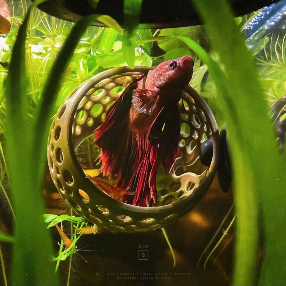 The Original Cave Lounge - Betta Fish Swim-Through Hideout
